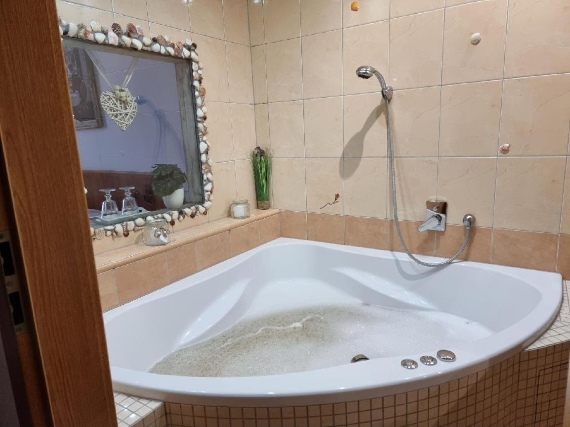 Hotel Pansky Dum Blovice Экстерьер фото